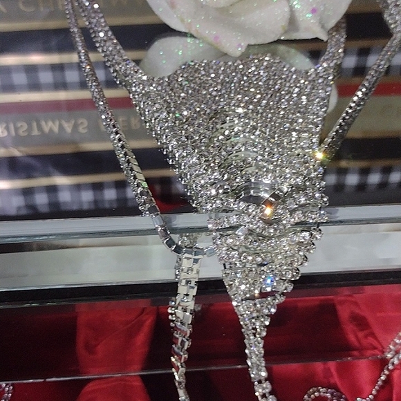 Hundreds of Swarovski Crystals Scintillate on this Bikini Bathing Adornment NWT - Picture 12 of 12
